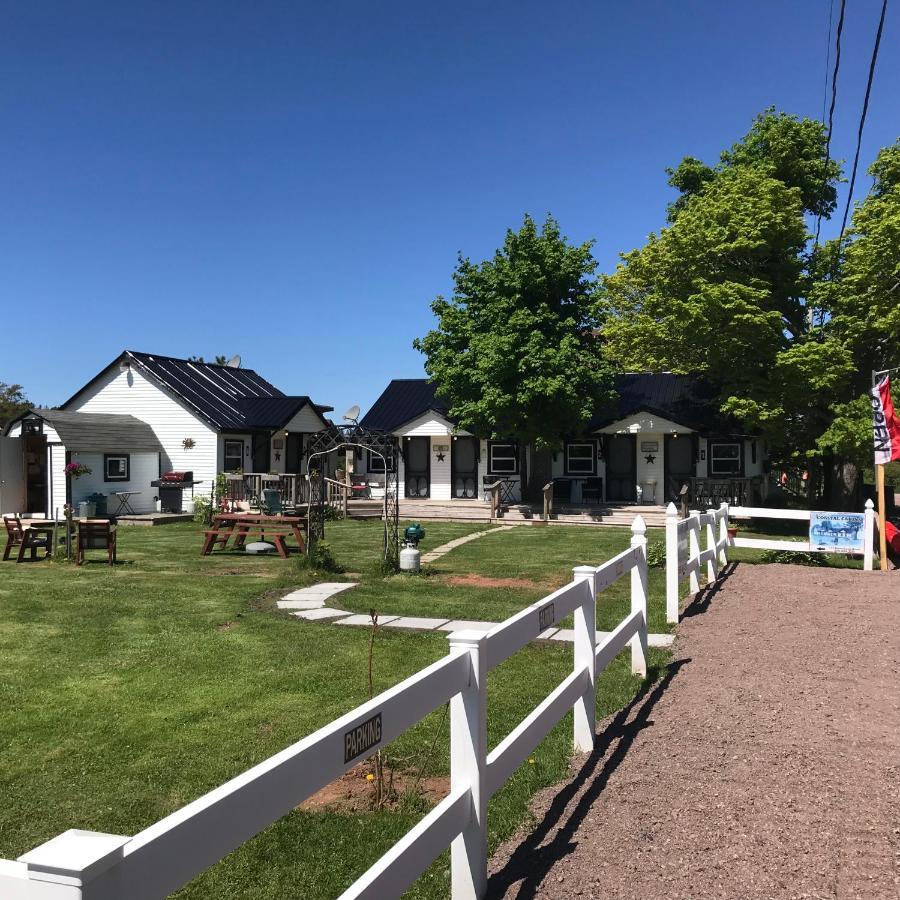 The Coastal Cabins In New Brunswick Cape Tormentine Ngoại thất bức ảnh
